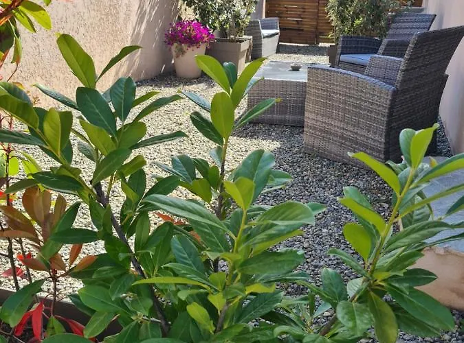 Apartamento Casa Dea Corte (Corsica)